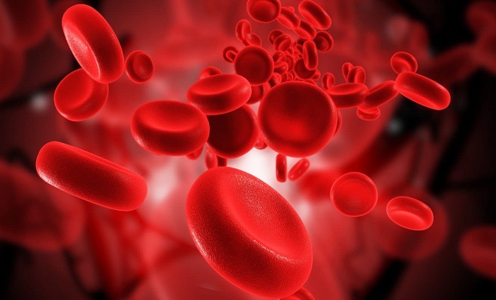 Anemiye Bütüncül Yaklaşım