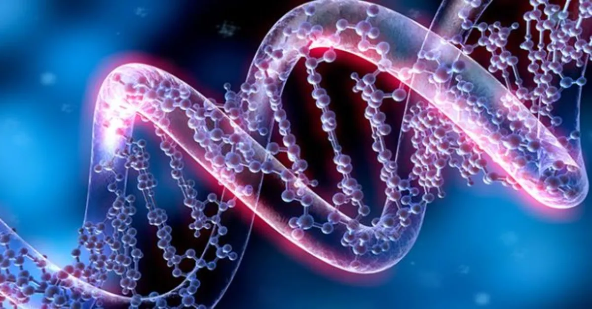 Epigenetik - Genlerle Dans - Yaş Al-Yaşlanma